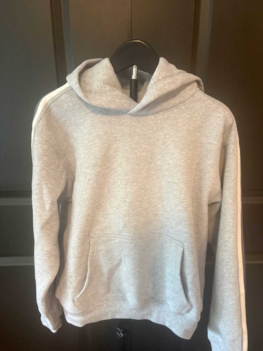 Aritzia cozy sweat fleece perfect hoodie